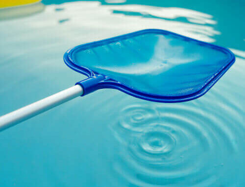 Florida Heat and Pool Algae: Why Prevention Never Takes a Break